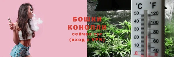 PSILOCYBIN Алексеевка