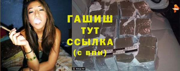 индика Абинск