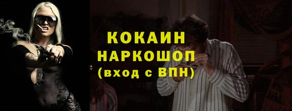 индика Абинск
