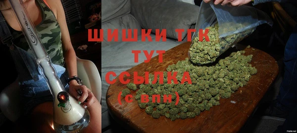 индика Абинск